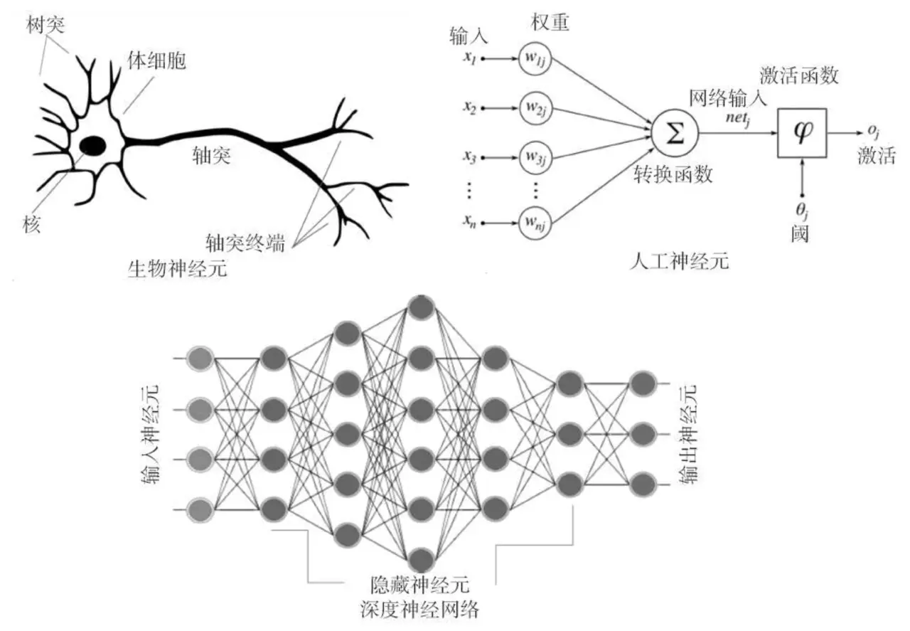 人工神经网络示意图